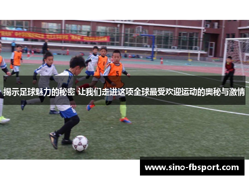 揭示足球魅力的秘密 让我们走进这项全球最受欢迎运动的奥秘与激情 揭示足球魅力的秘密 让我们走进这项全球最受欢迎运动的奥秘与激情