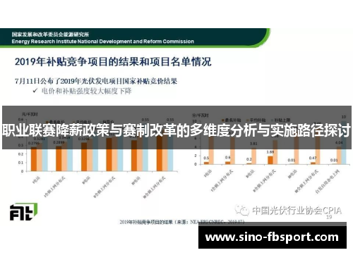 职业联赛降薪政策与赛制改革的多维度分析与实施路径探讨 职业联赛降薪政策与赛制改革的多维度分析与实施路径探讨