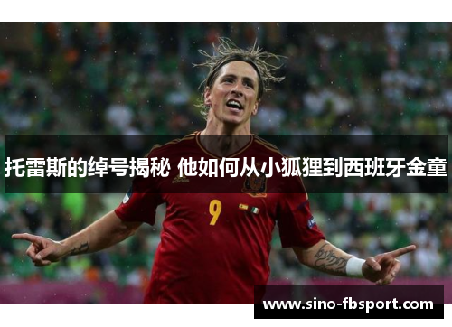 托雷斯的绰号揭秘 他如何从小狐狸到西班牙金童 托雷斯的绰号揭秘 他如何从小狐狸到西班牙金童