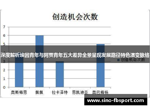 深度解析埃因青年与阿贾青年五大差异全景呈现发展路径特色演变脉络 深度解析埃因青年与阿贾青年五大差异全景呈现发展路径特色演变脉络