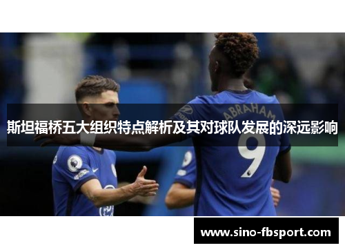 斯坦福桥五大组织特点解析及其对球队发展的深远影响 斯坦福桥五大组织特点解析及其对球队发展的深远影响