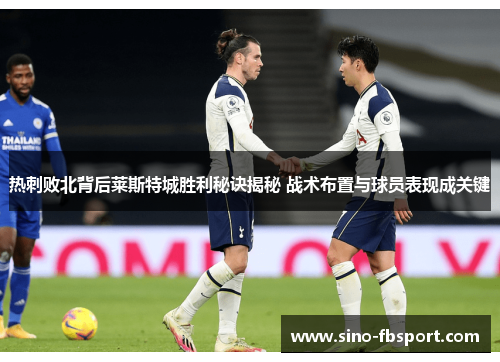 热刺败北背后莱斯特城胜利秘诀揭秘 战术布置与球员表现成关键 热刺败北背后莱斯特城胜利秘诀揭秘 战术布置与球员表现成关键