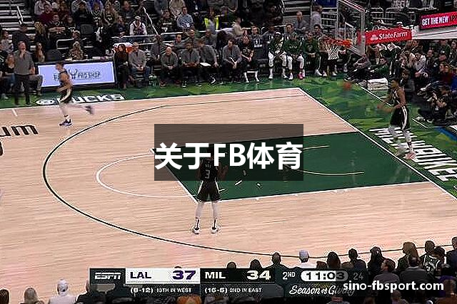 关于FB体育